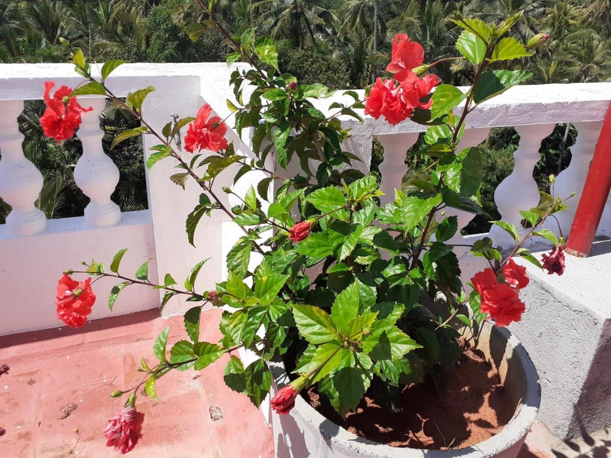 Holi-Wood Guesthouse Ποντισερί Εξωτερικό φωτογραφία